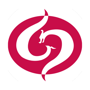 北京國際藝術學校(中國雜技團)圖片